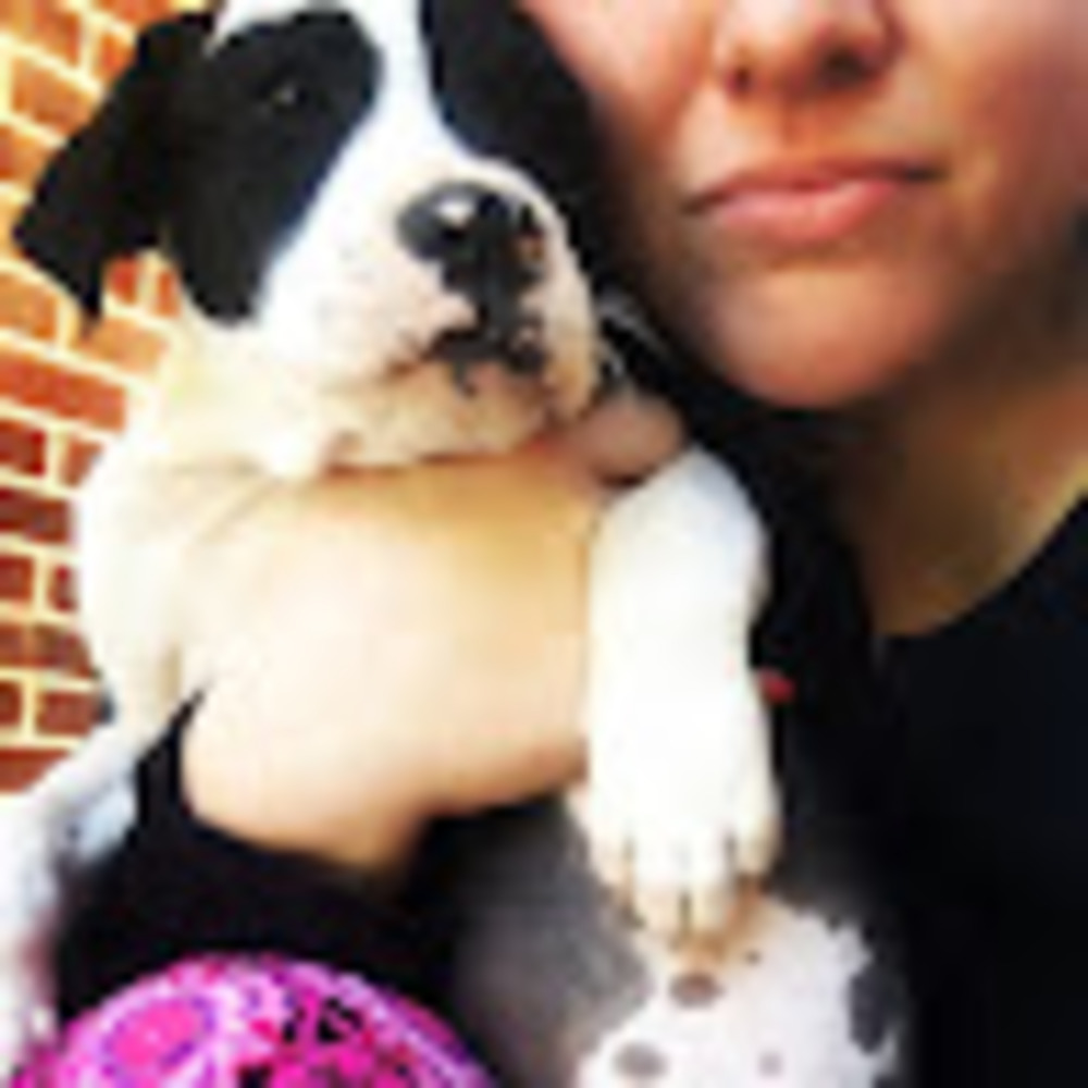 Meet your Posher, Amber